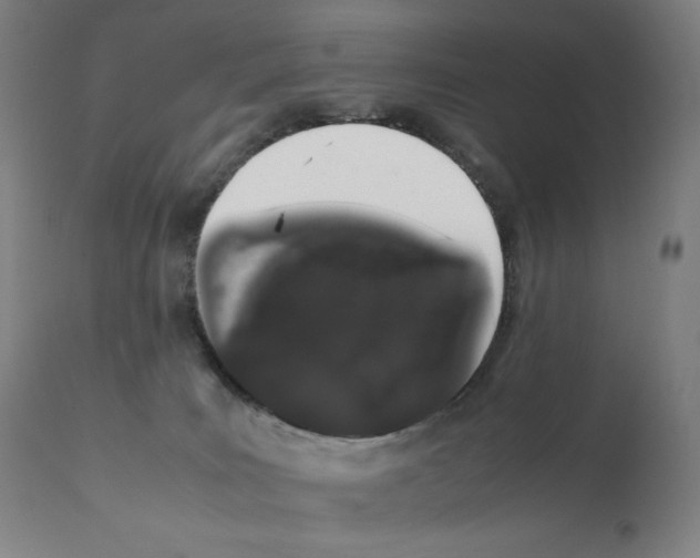 X0000111880035200909031851