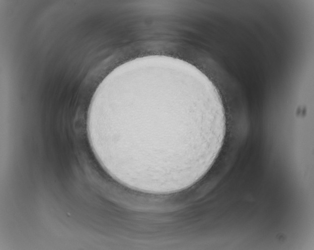 X0000111880036200909031851