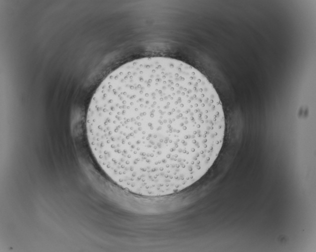 X0000111880038200909031851