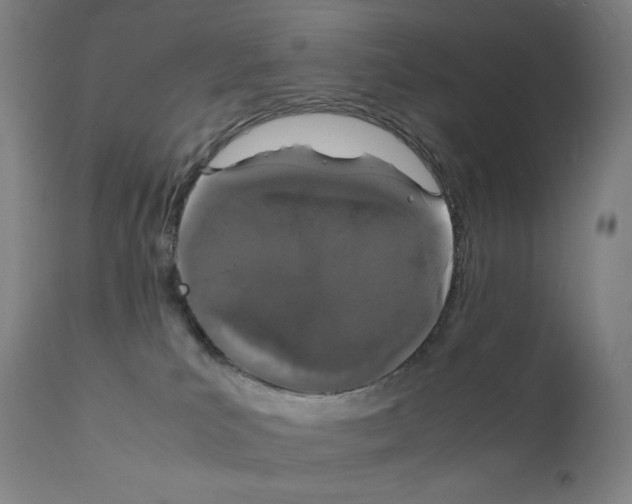 X0000111880039200909031851