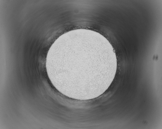 X0000111880040200909031851
