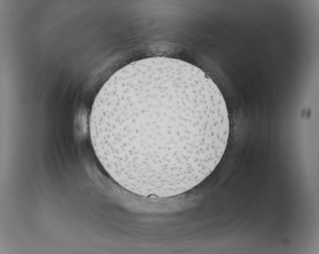 X0000111880042200909031851