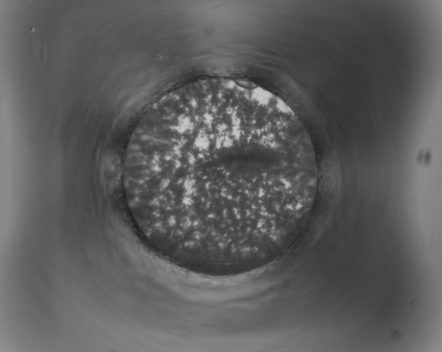 X0000111880043200909031851