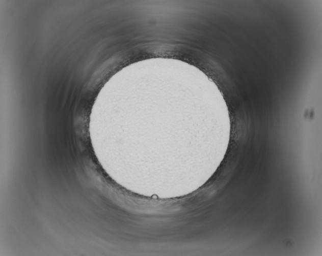 X0000111880044200909031851