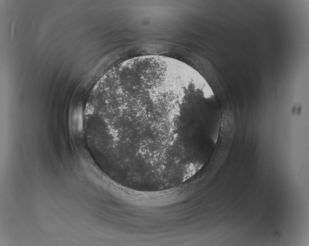 X0000111880046200909031851
