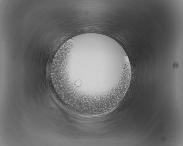 X0000111880047200909031851