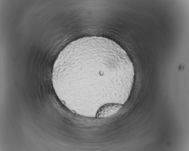 X0000111880048200909031851