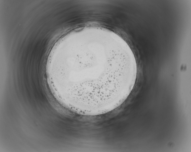 X0000111880049200909031850