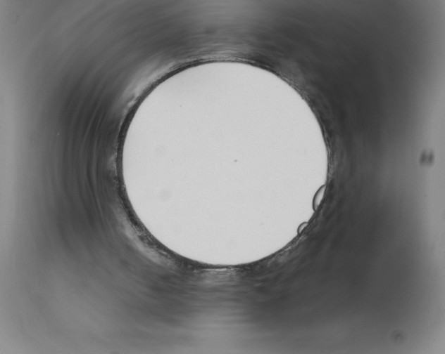 X0000111880050200909031850