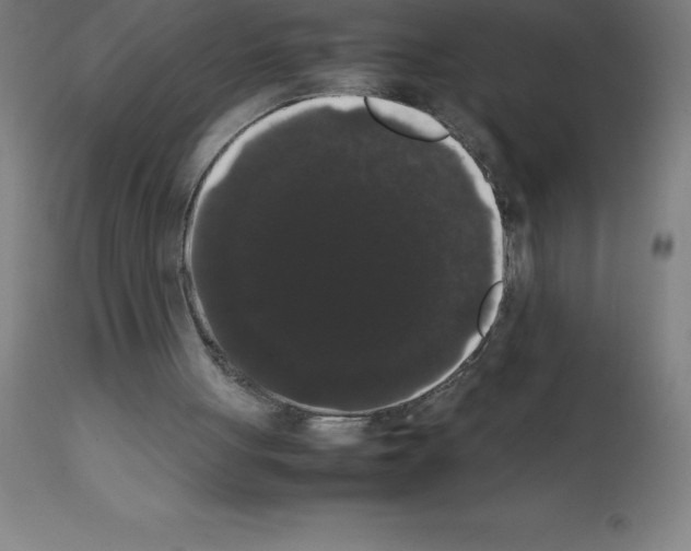 X0000111880051200909031850