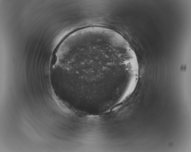 X0000111880052200909031850