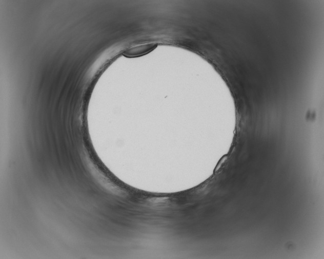 X0000111880054200909031850