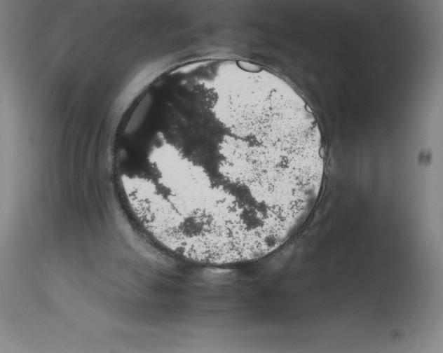 X0000111880055200909031850