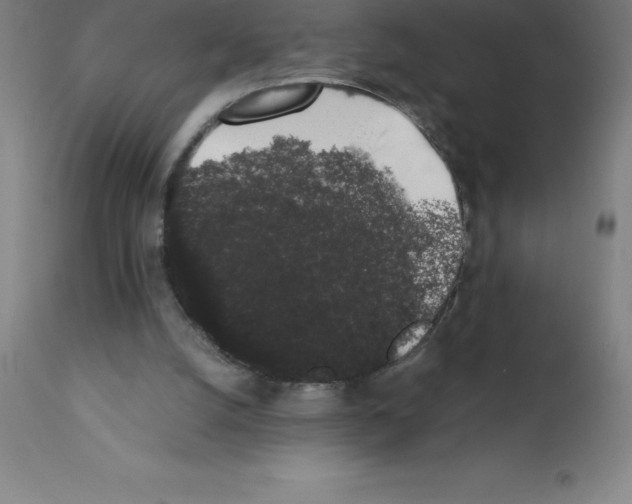 X0000111880056200909031850