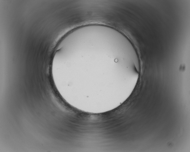 X0000111880060200909031850