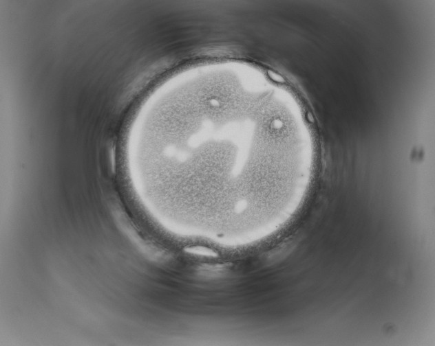 X0000111880061200909031850