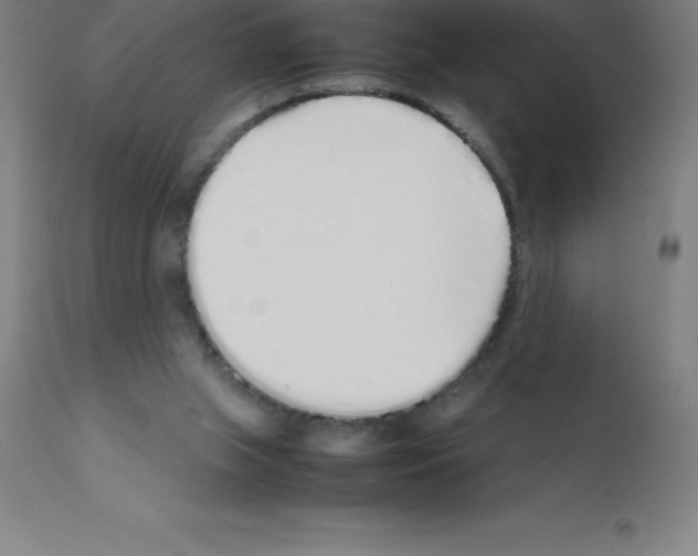 X0000111880063200909031850