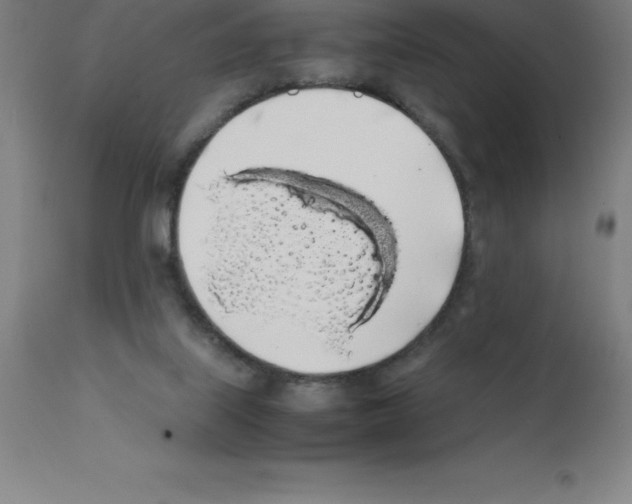 X0000111880067200909031850