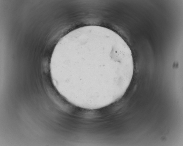 X0000111880069200909031850