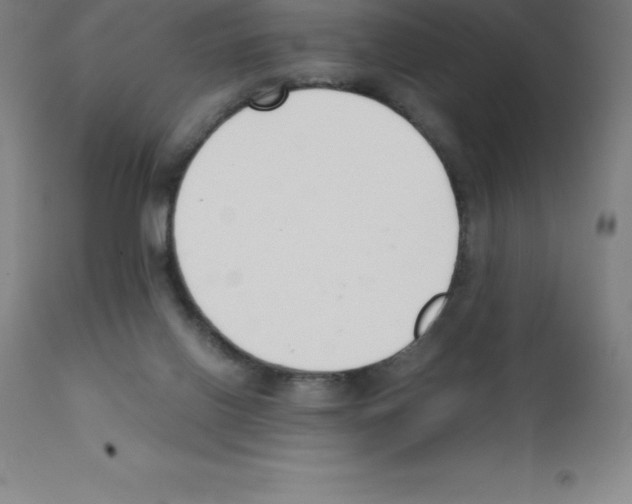 X0000111880070200909031850