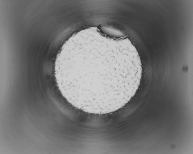 X0000111880072200909031850