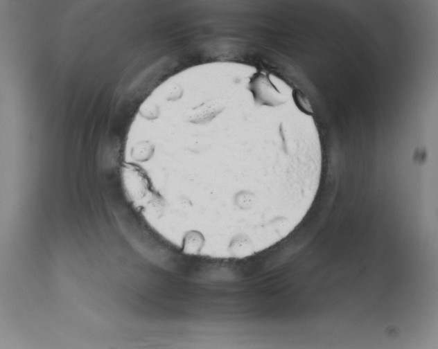 X0000111880073200909031850