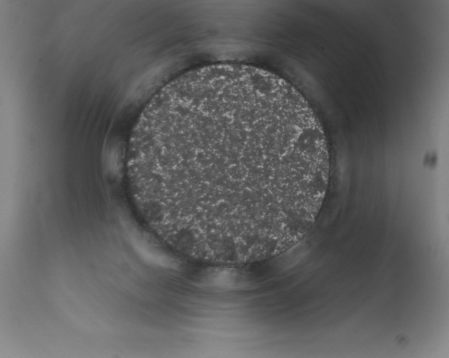 X0000111880074200909031850