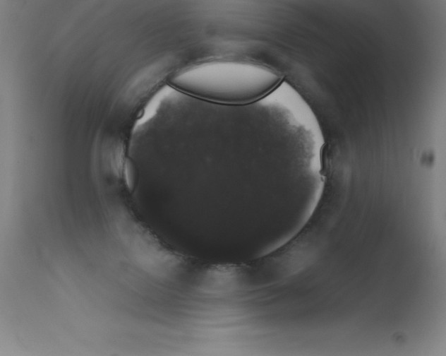 X0000111880076200909031850
