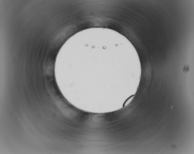 X0000111880078200909031850
