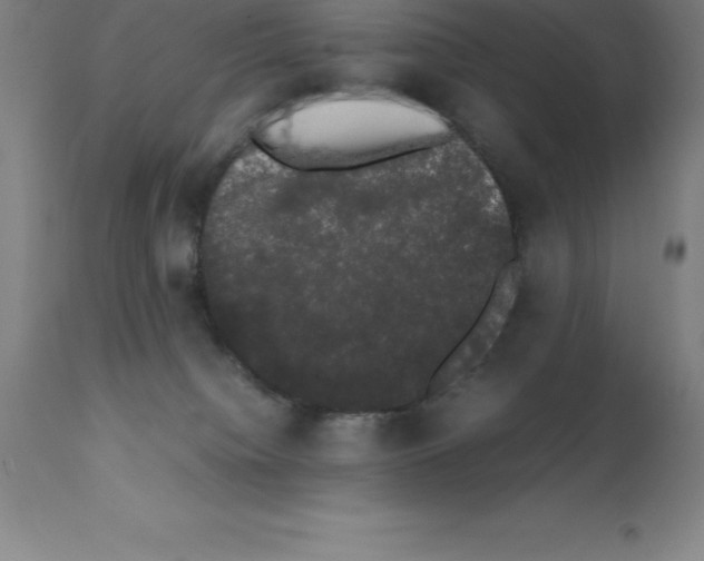 X0000111880084200909031850