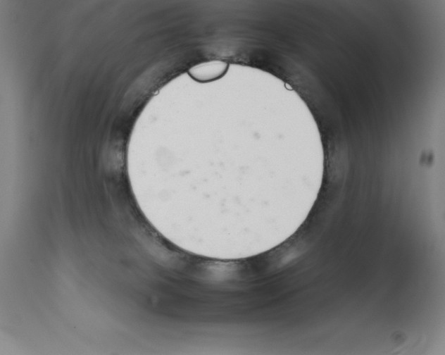 X0000111880085200909031850