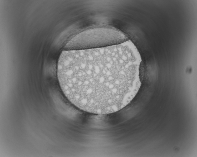 X0000111880092200909031851