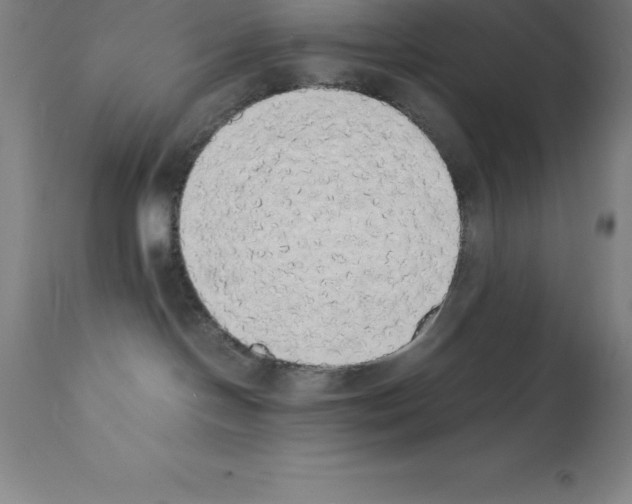 X0000111880094200909031851