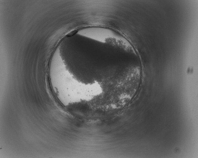 X0000111880097200909031850