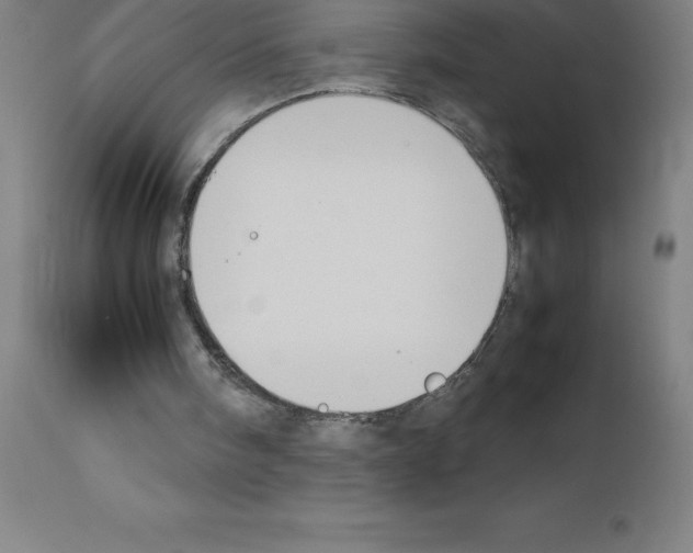 X0000111880098200909031850