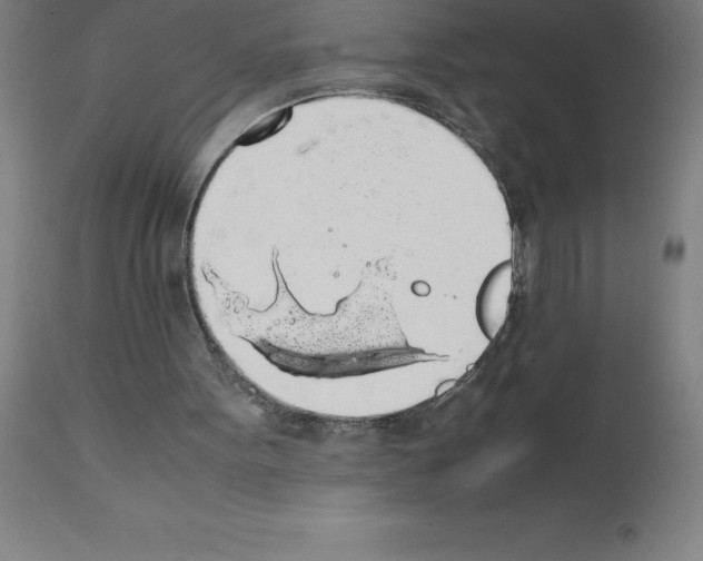 X0000111880099200909031850