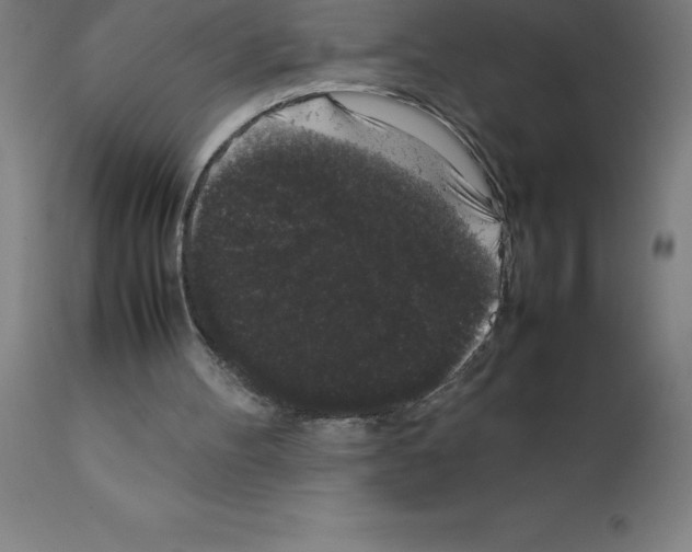X0000111880100200909031850