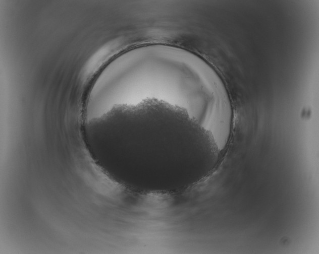 X0000111880101200909031850