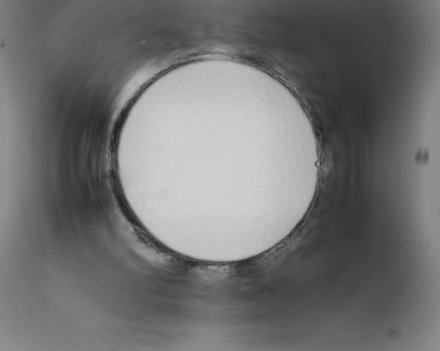 X0000111880102200909031850