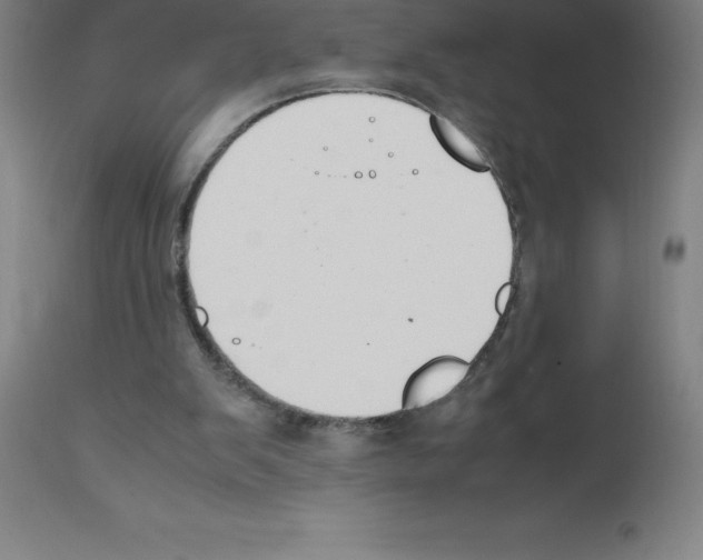 X0000111880103200909031850
