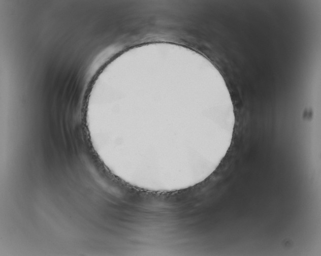 X0000111880104200909031850