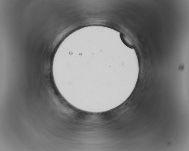 X0000111880107200909031849