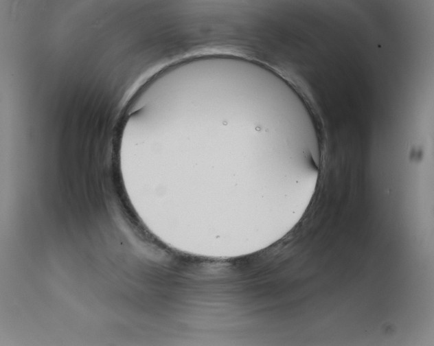 X0000111880108200909031849