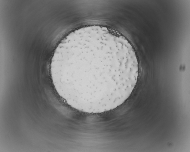 X0000111880109200909031849