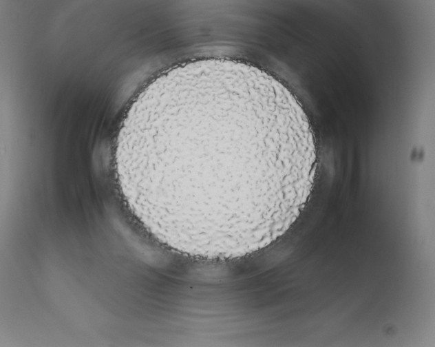X0000111880110200909031849