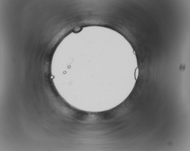 X0000111880111200909031849