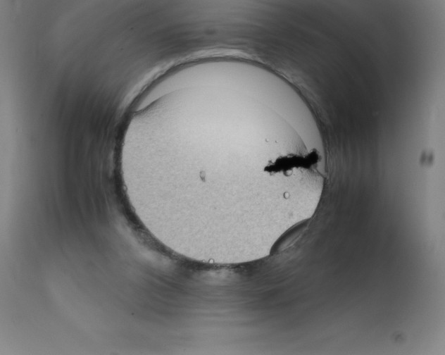 X0000111880112200909031849