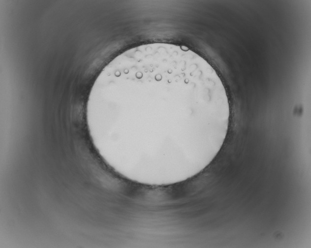 X0000111880113200909031849