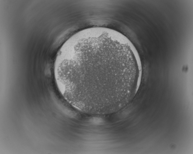 X0000111880114200909031849