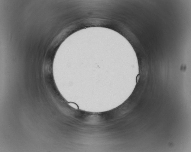 X0000111880119200909031849
